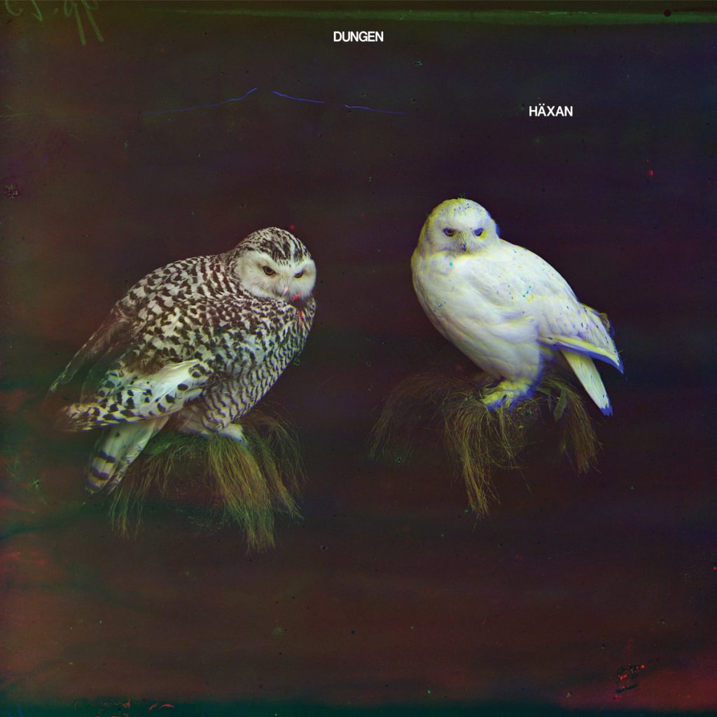 dungen-haxan