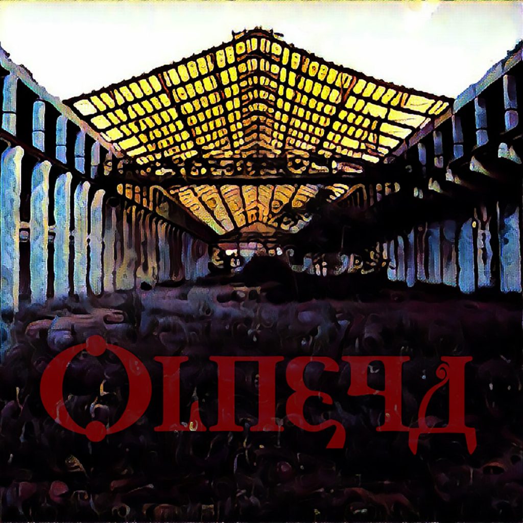 olneya-st