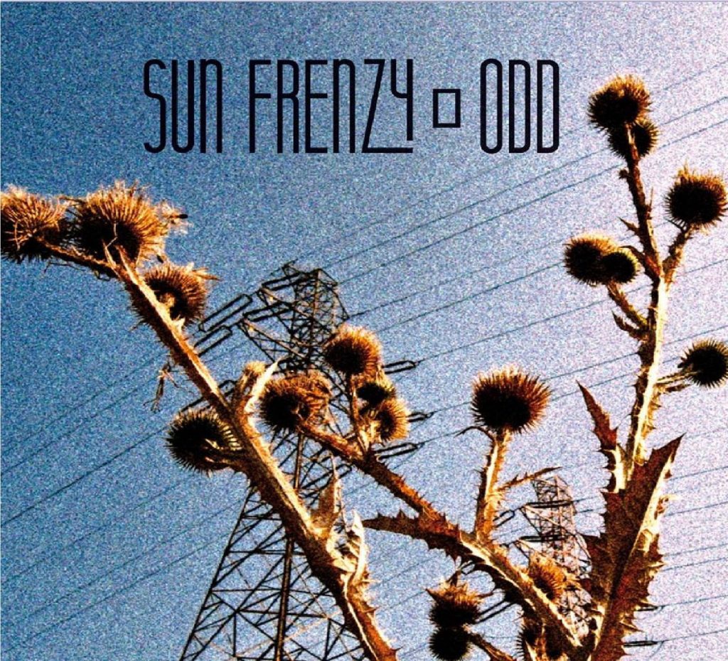 sun-frenzy-odd