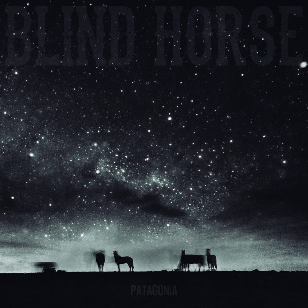 blind-horse-patagonia